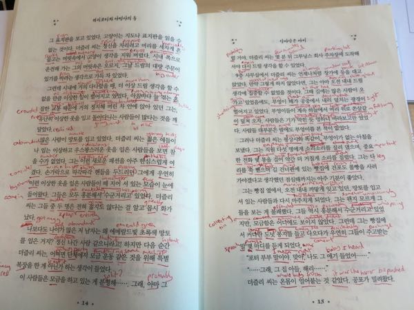 Korean study update 1 – Harry Potter progress | Mike Grist